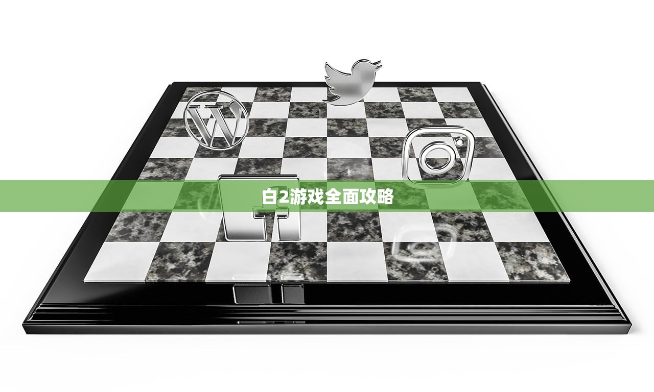 白2游戏全面攻略