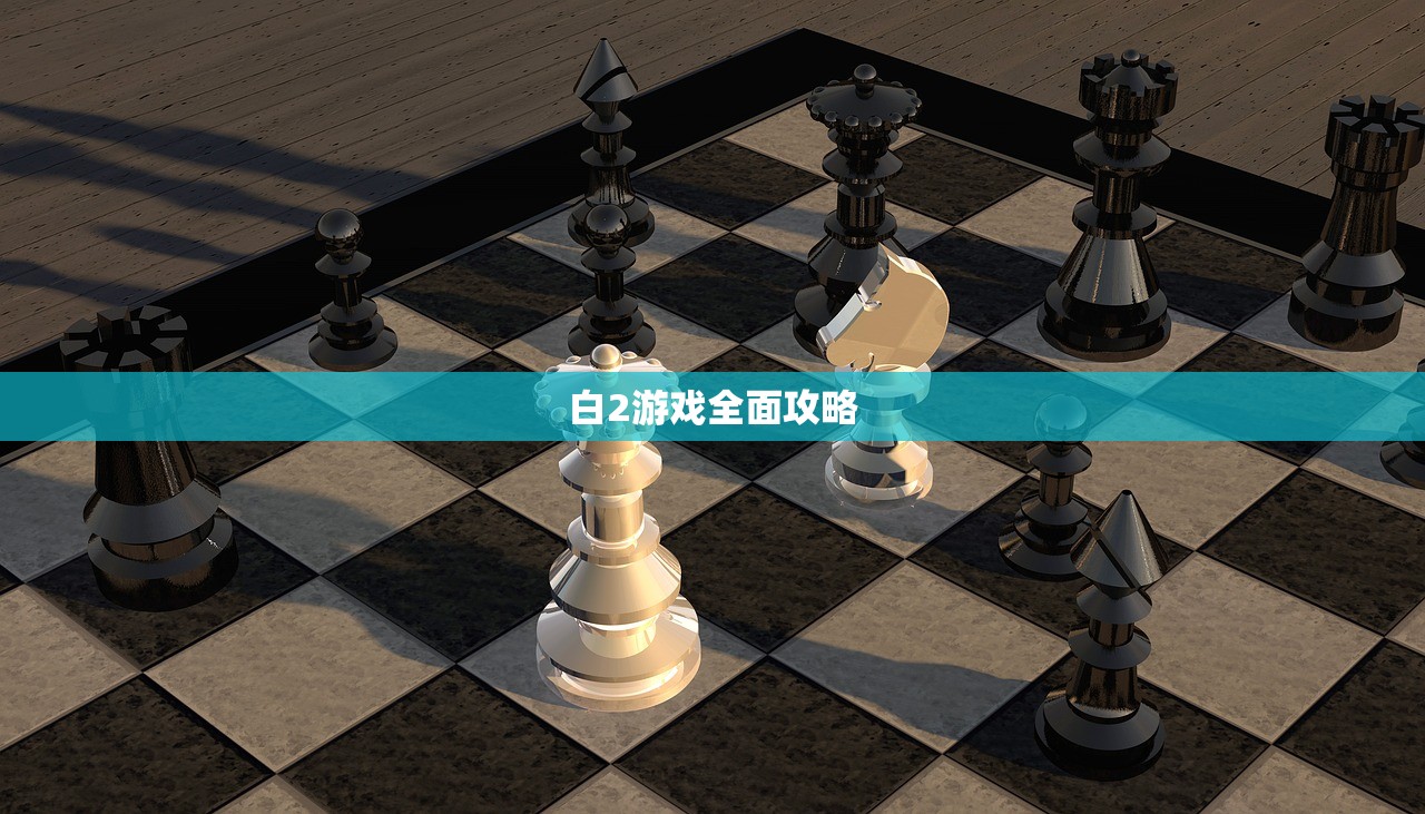 白2游戏全面攻略