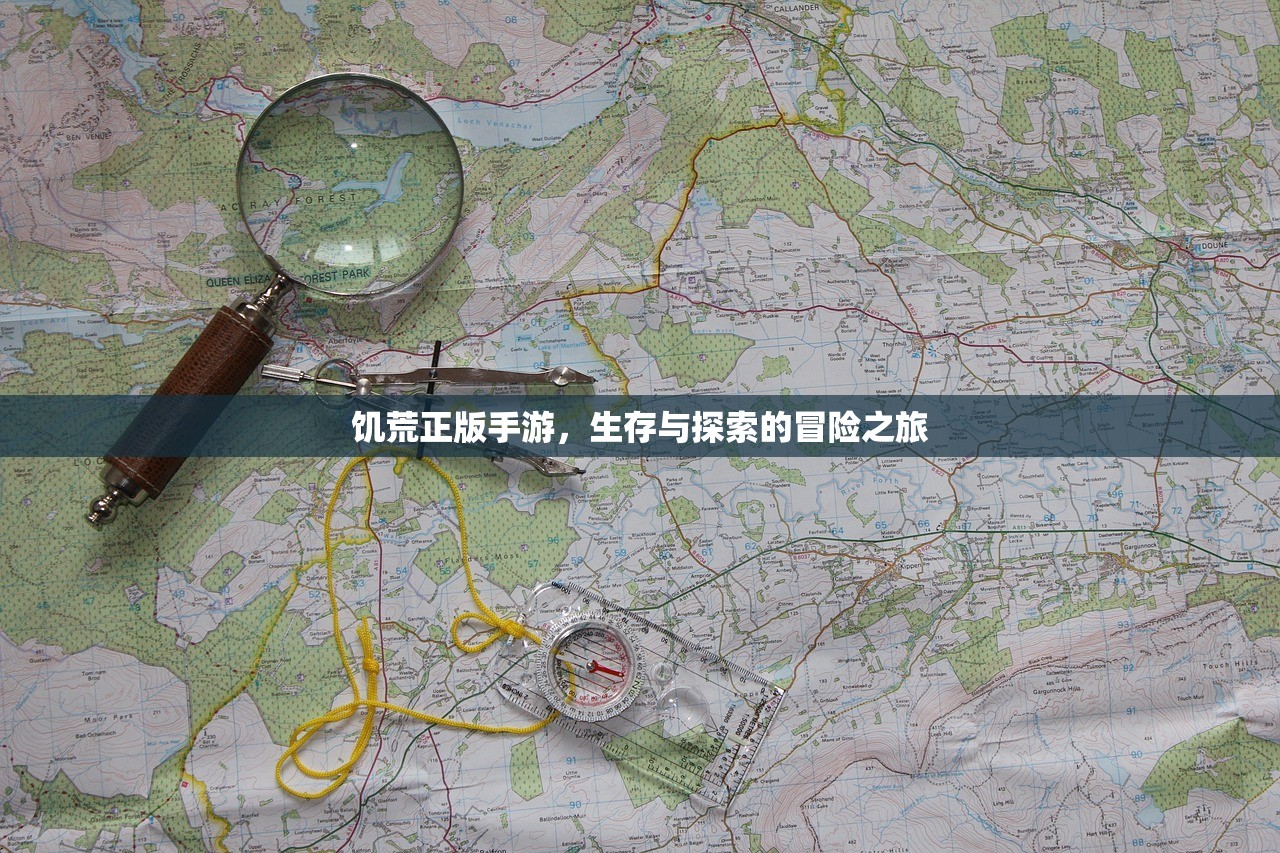 饥荒正版手游，生存与探索的冒险之旅