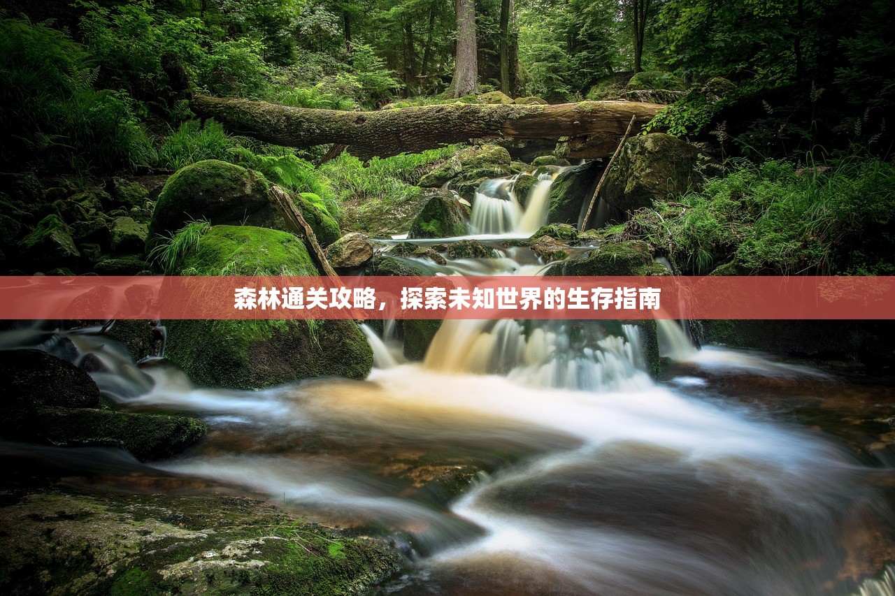 森林通关攻略，探索未知世界的生存指南
