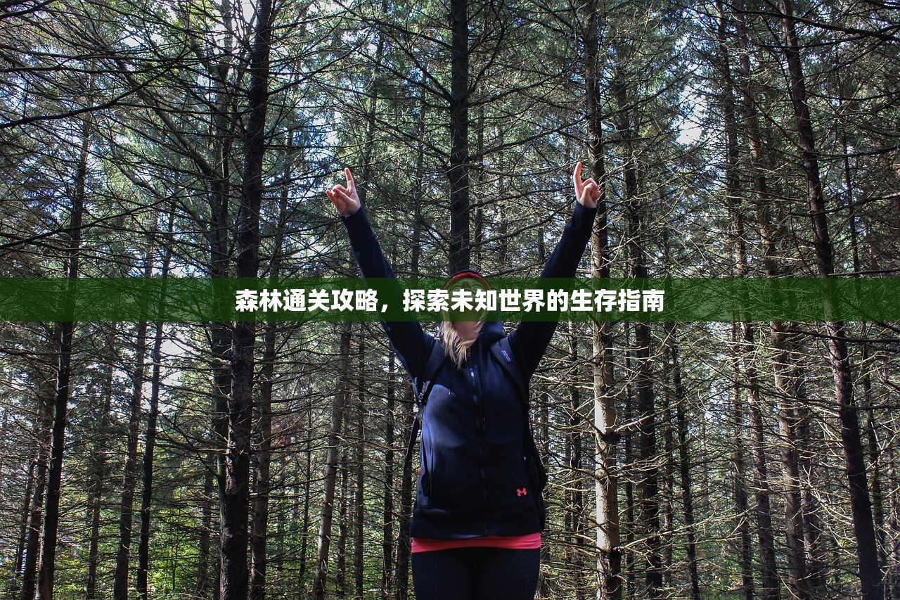 森林通关攻略，探索未知世界的生存指南