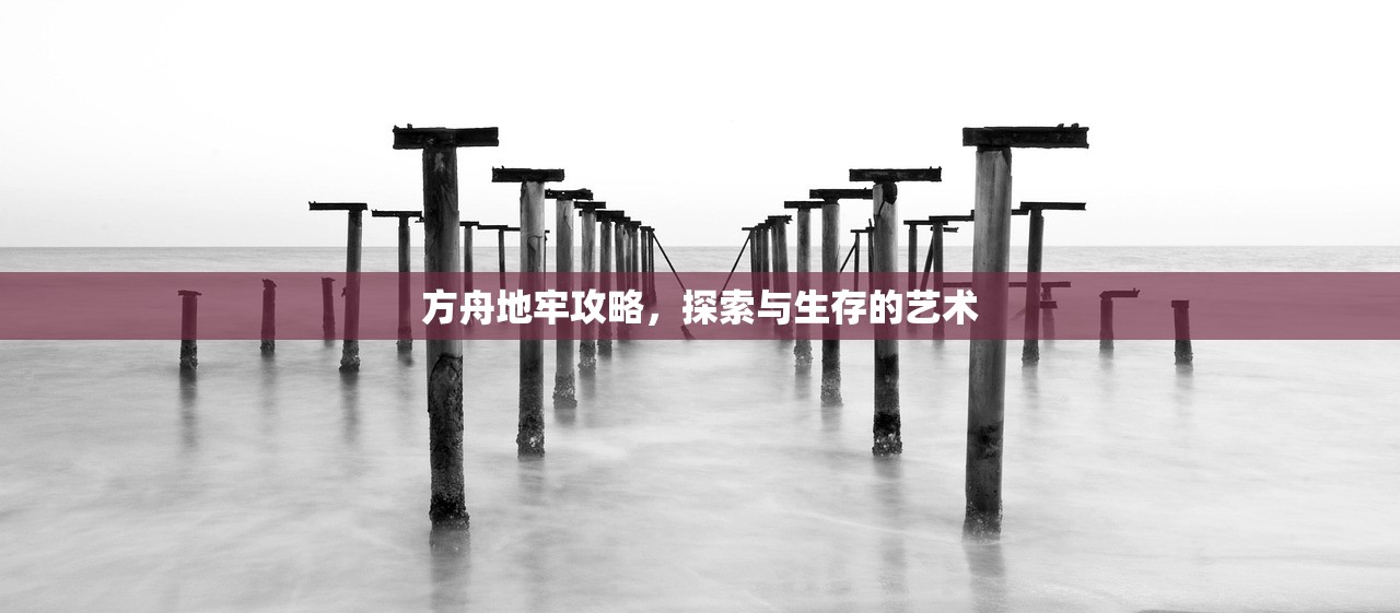方舟地牢攻略，探索与生存的艺术