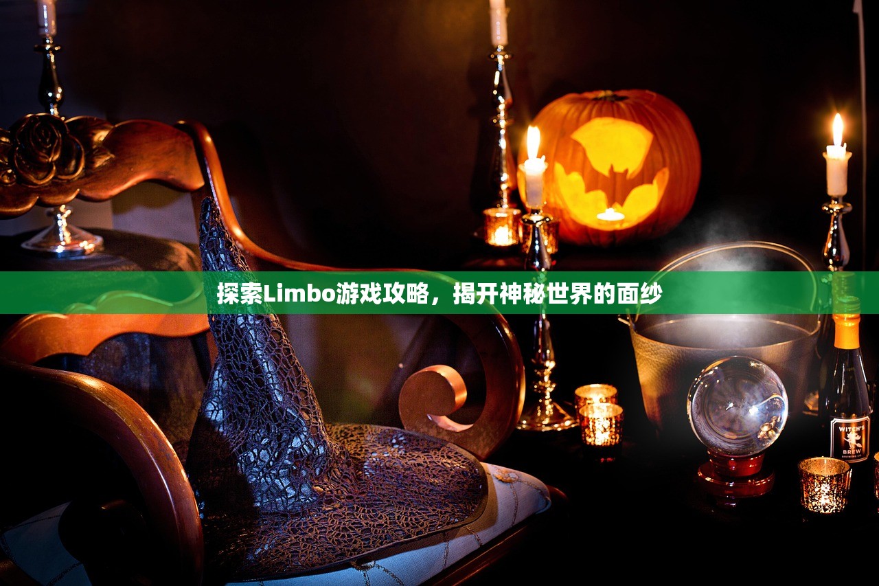 探索Limbo游戏攻略，揭开神秘世界的面纱