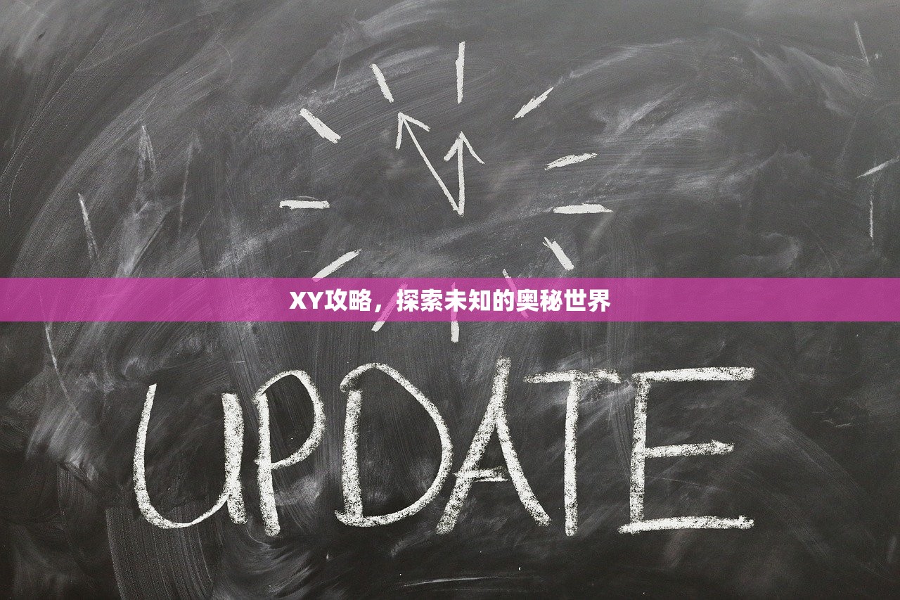 XY攻略，探索未知的奥秘世界