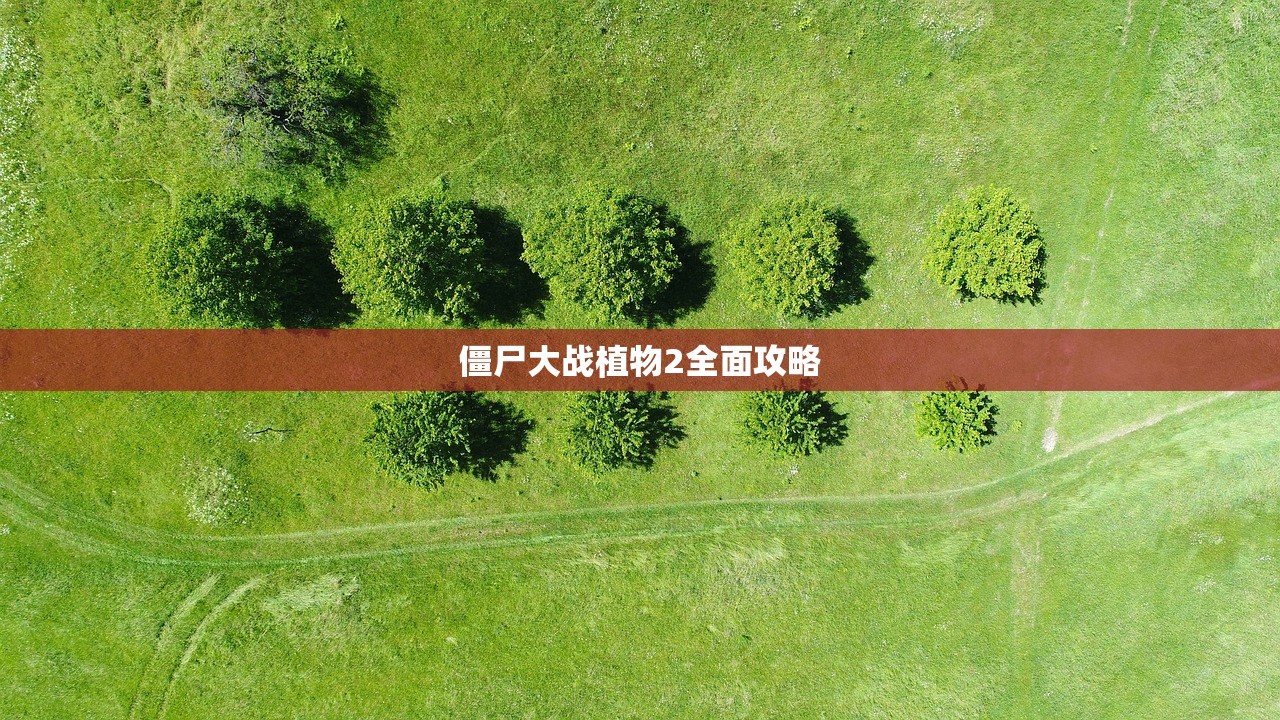 僵尸大战植物2全面攻略