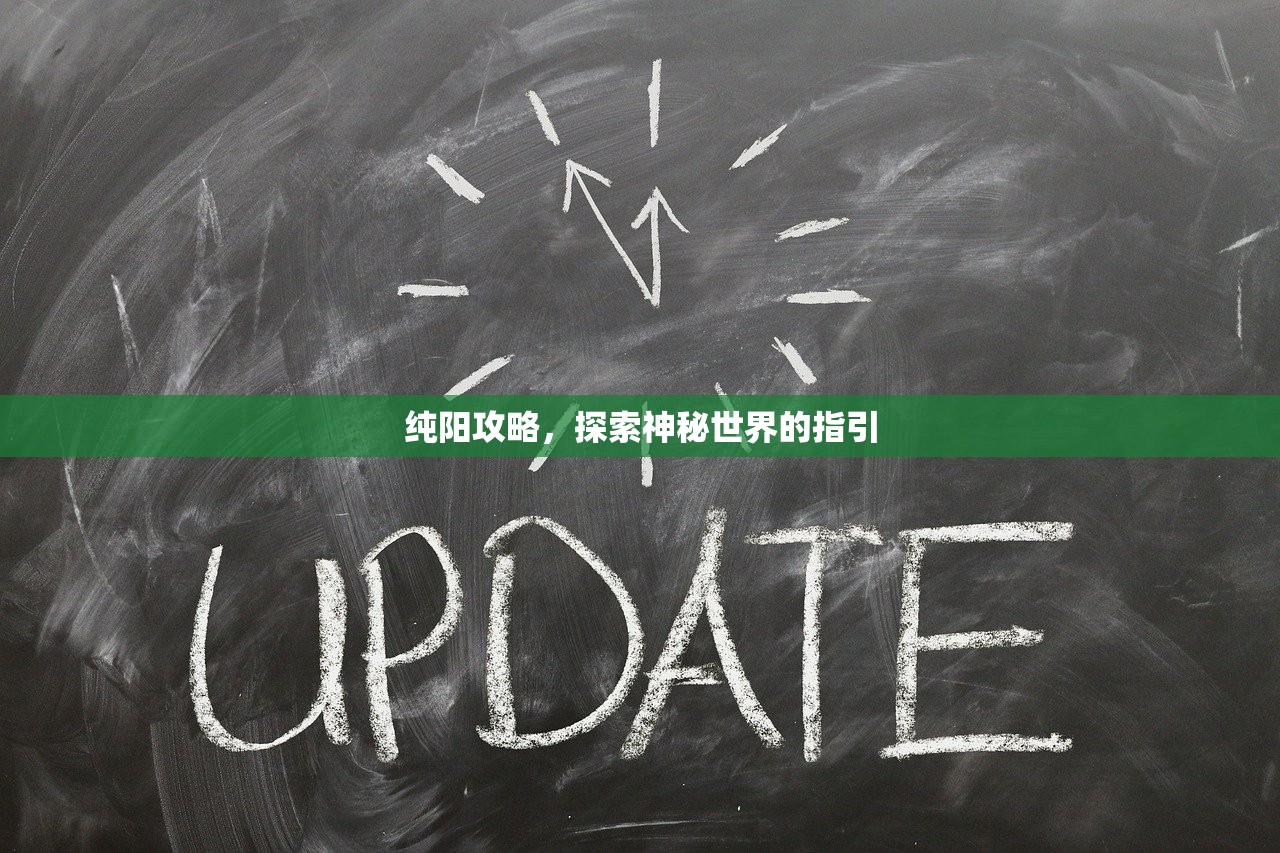 纯阳攻略，探索神秘世界的指引