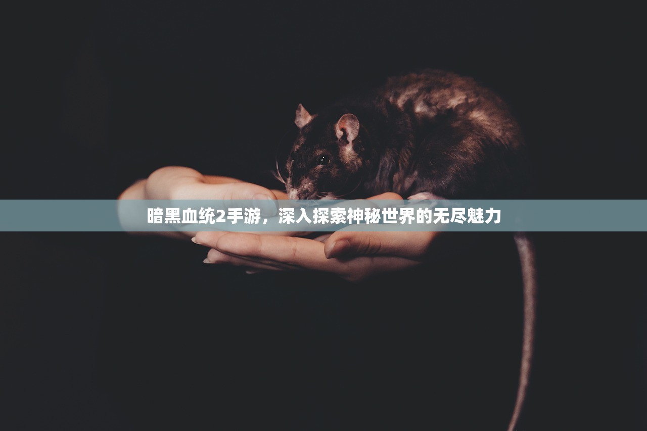 暗黑血统2手游，深入探索神秘世界的无尽魅力