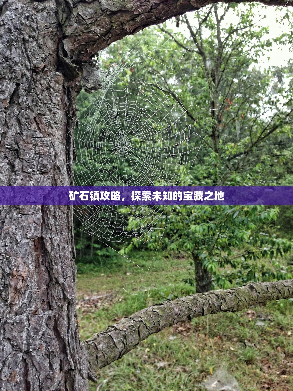 矿石镇攻略，探索未知的宝藏之地