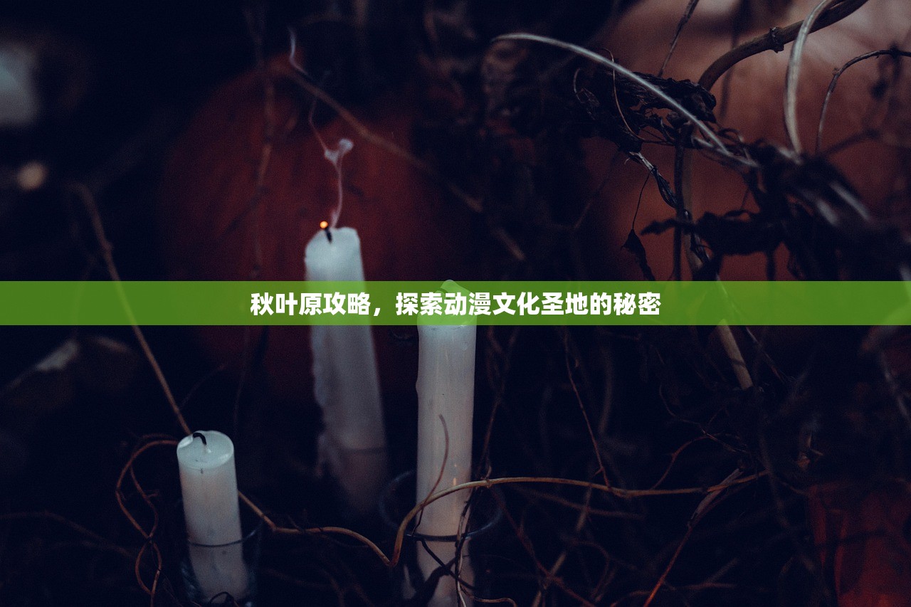 秋叶原攻略，探索动漫文化圣地的秘密