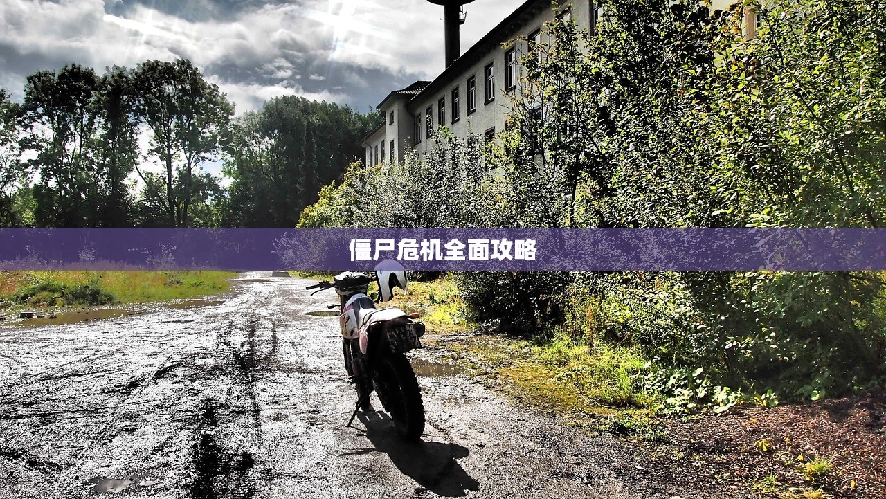 僵尸危机全面攻略