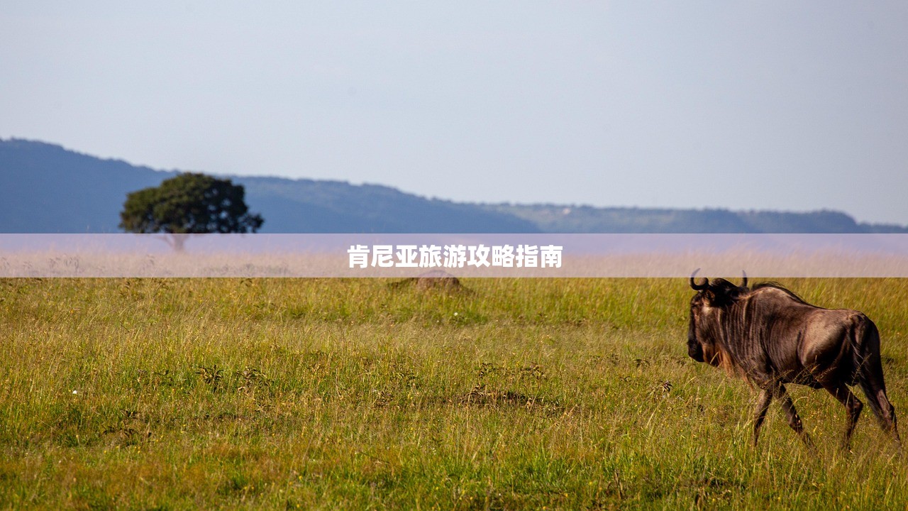 肯尼亚旅游攻略指南