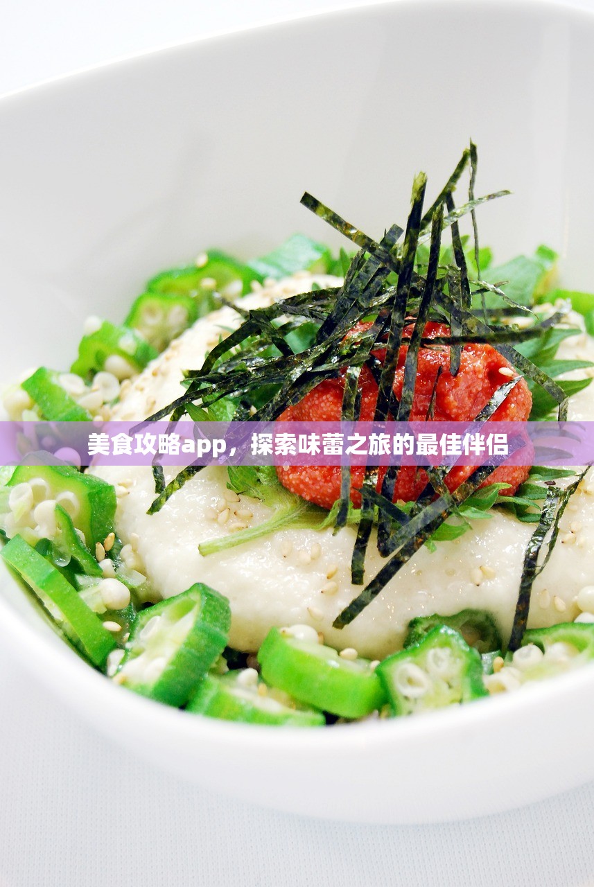 美食攻略app，探索味蕾之旅的最佳伴侣