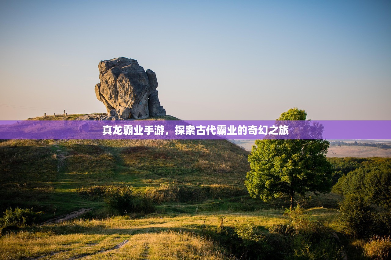 真龙霸业手游，探索古代霸业的奇幻之旅