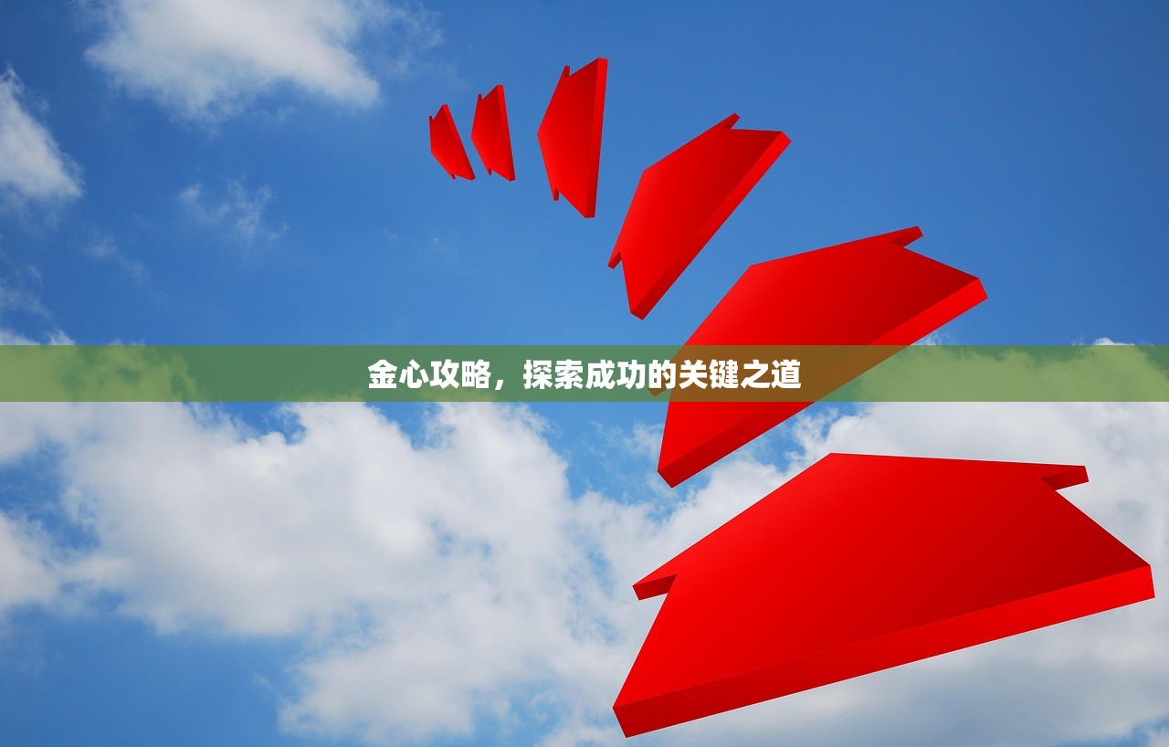 金心攻略，探索成功的关键之道
