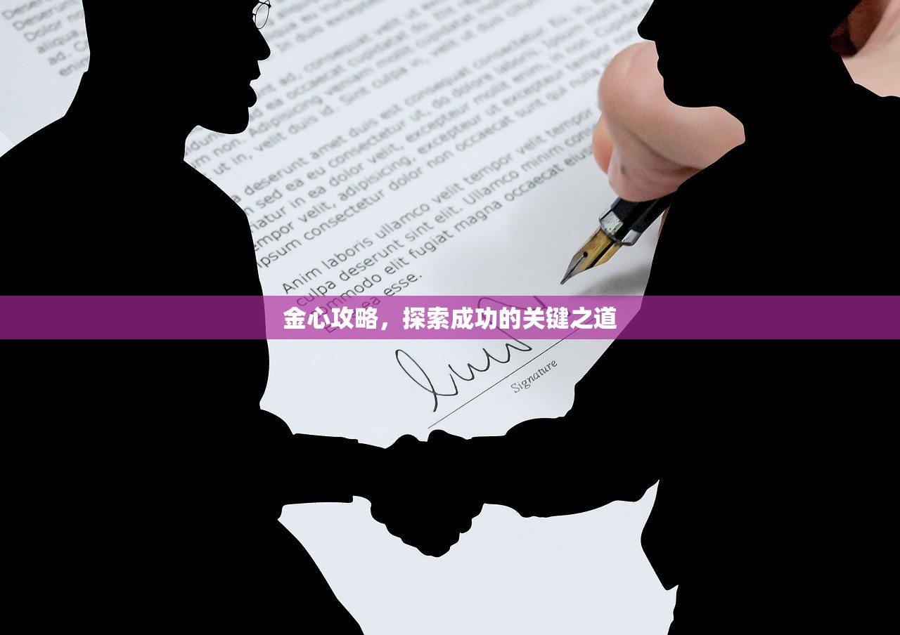 金心攻略，探索成功的关键之道