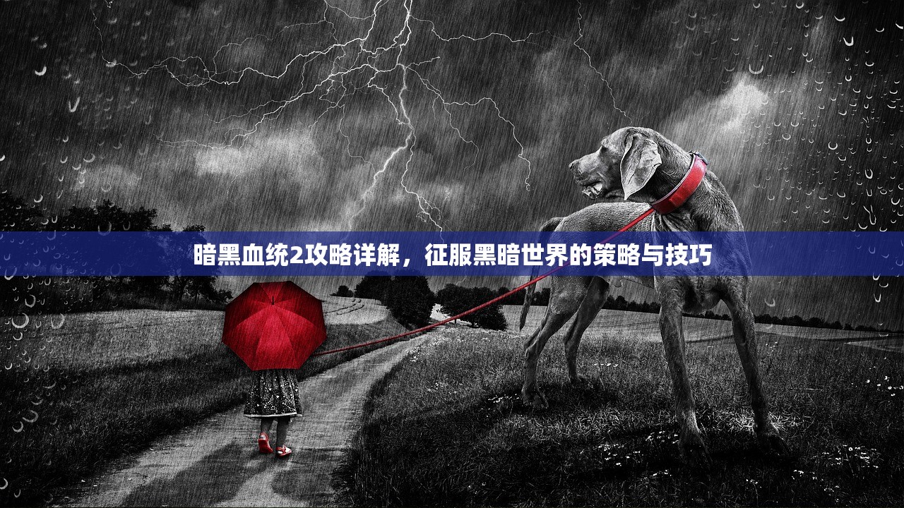 暗黑血统2攻略详解，征服黑暗世界的策略与技巧