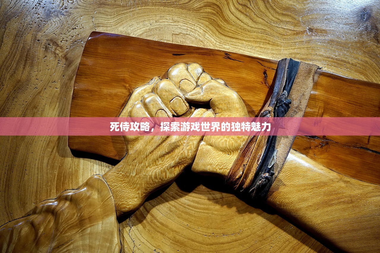 死侍攻略，探索游戏世界的独特魅力
