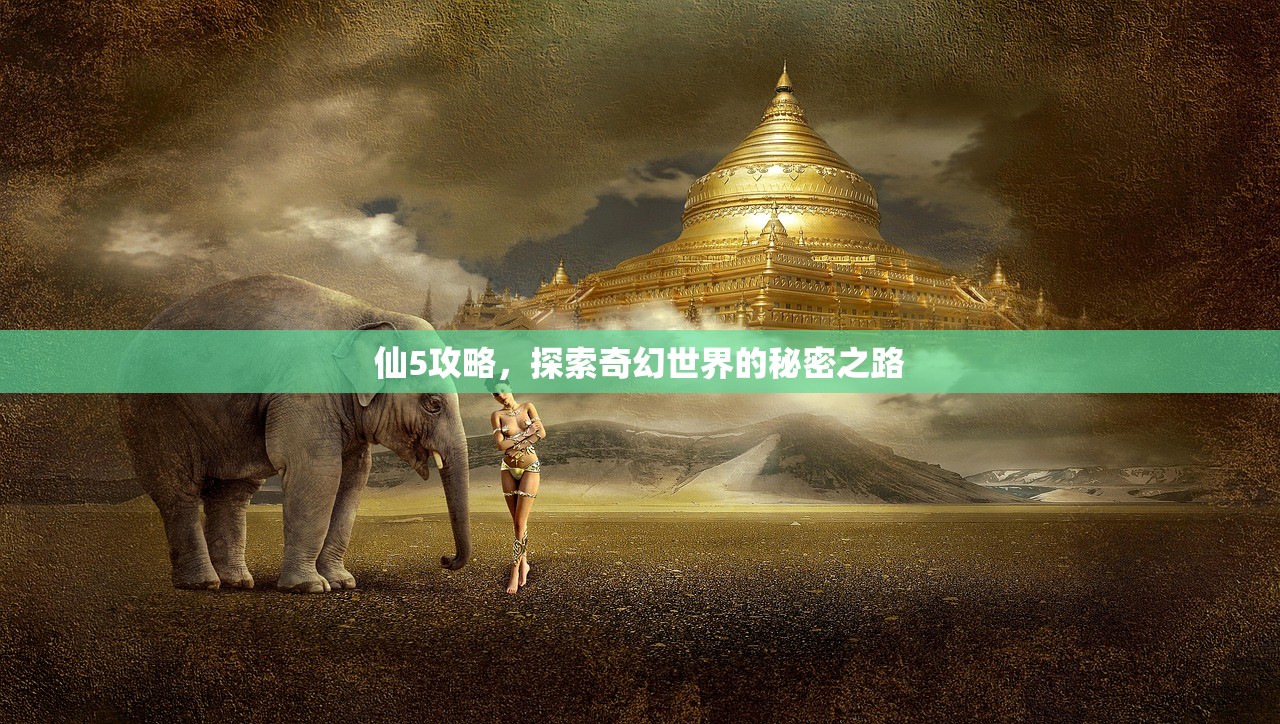 仙5攻略，探索奇幻世界的秘密之路