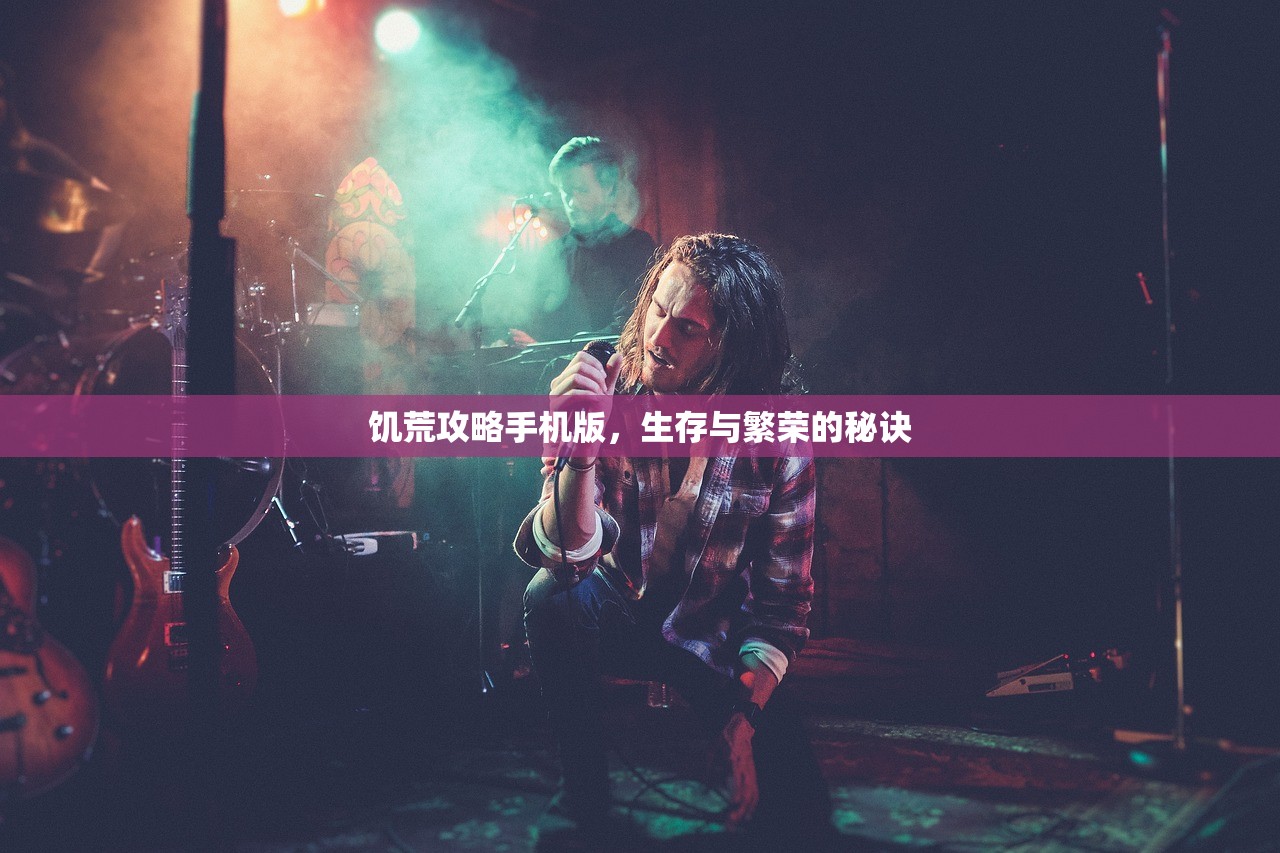 饥荒攻略手机版，生存与繁荣的秘诀