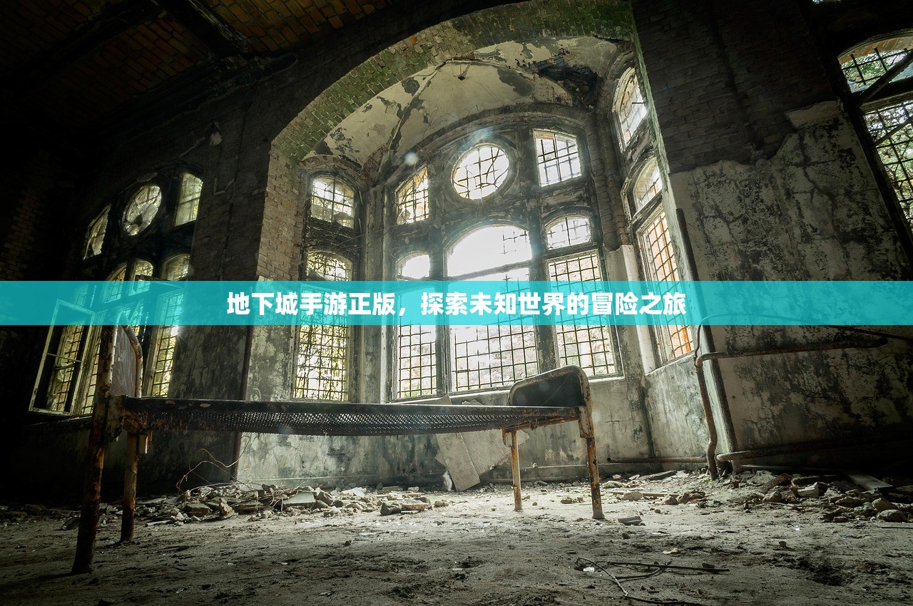 地下城手游正版，探索未知世界的冒险之旅