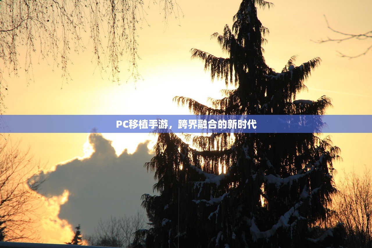 PC移植手游，跨界融合的新时代