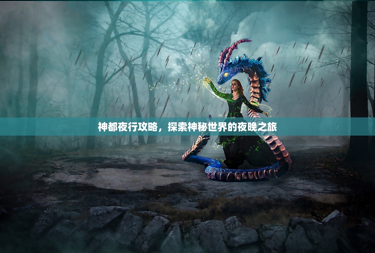 神都夜行攻略，探索神秘世界的夜晚之旅