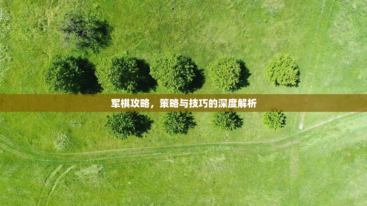 军棋攻略，策略与技巧的深度解析