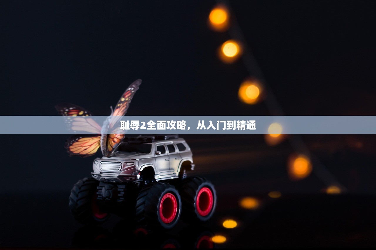 耻辱2全面攻略，从入门到精通
