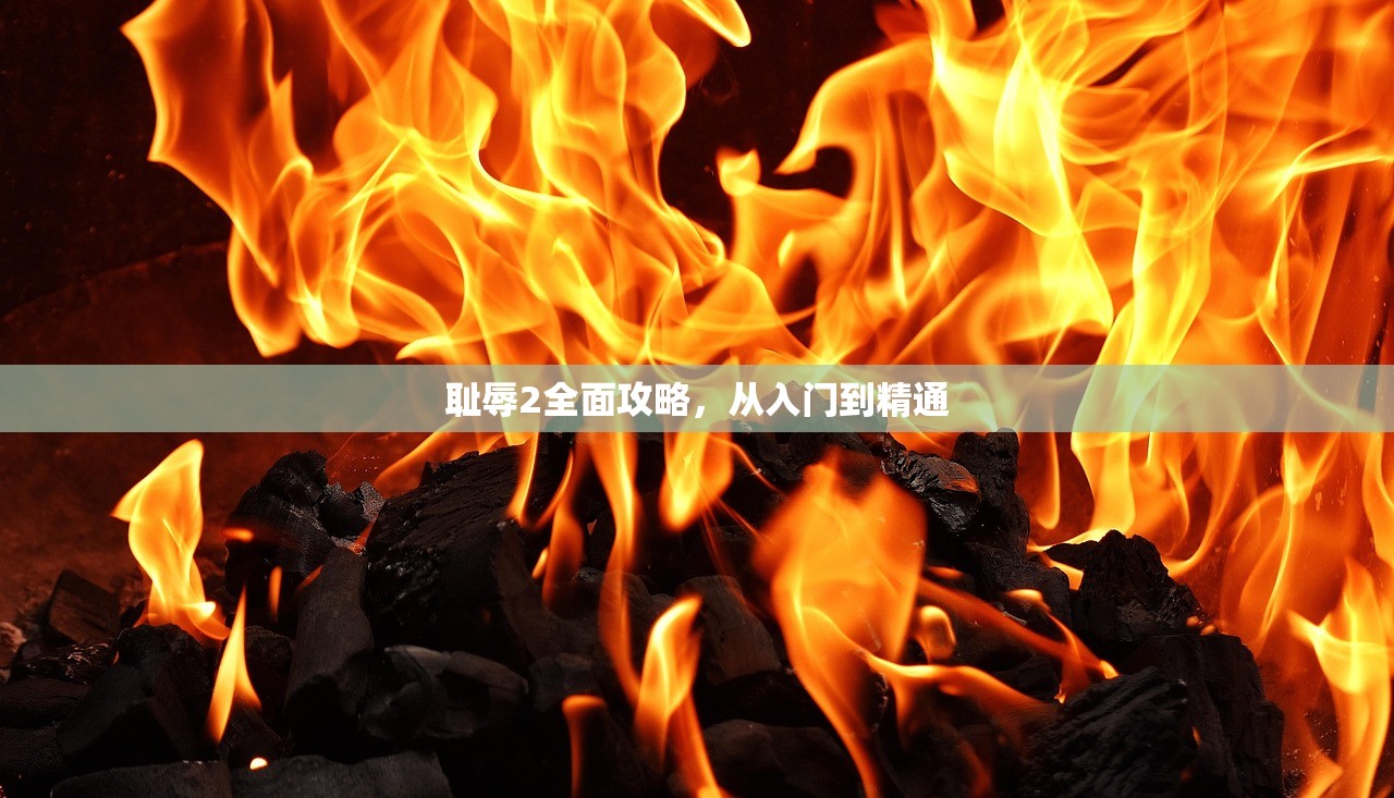 耻辱2全面攻略，从入门到精通
