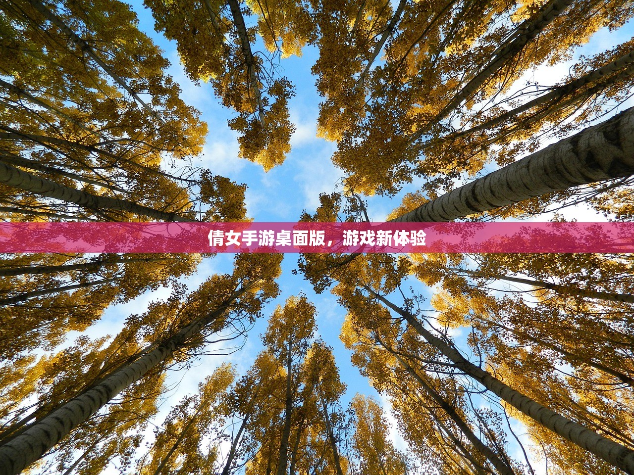 倩女手游桌面版，游戏新体验