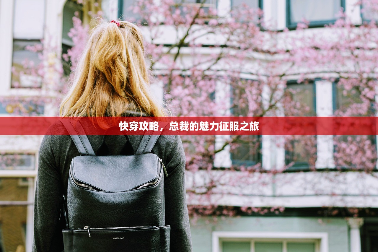 快穿攻略，总裁的魅力征服之旅