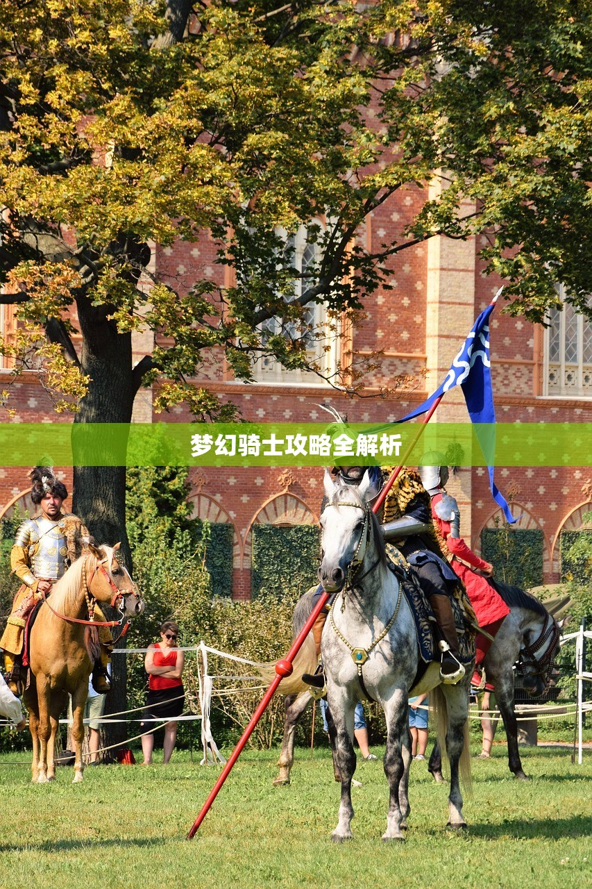 梦幻骑士攻略全解析