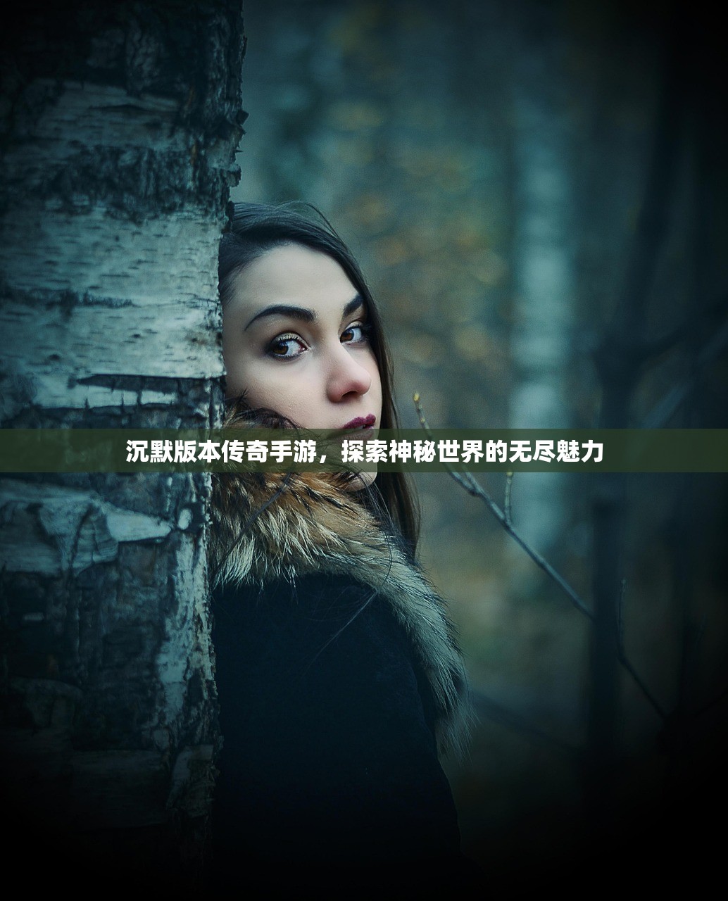 沉默版本传奇手游，探索神秘世界的无尽魅力