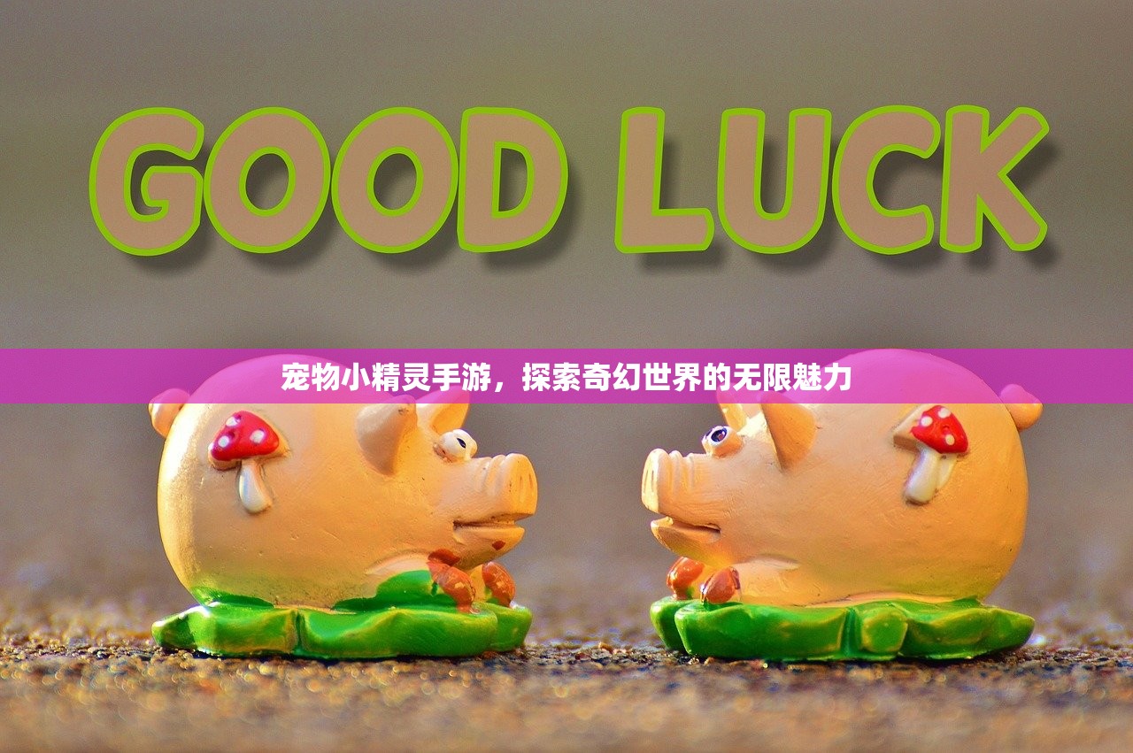 宠物小精灵手游，探索奇幻世界的无限魅力