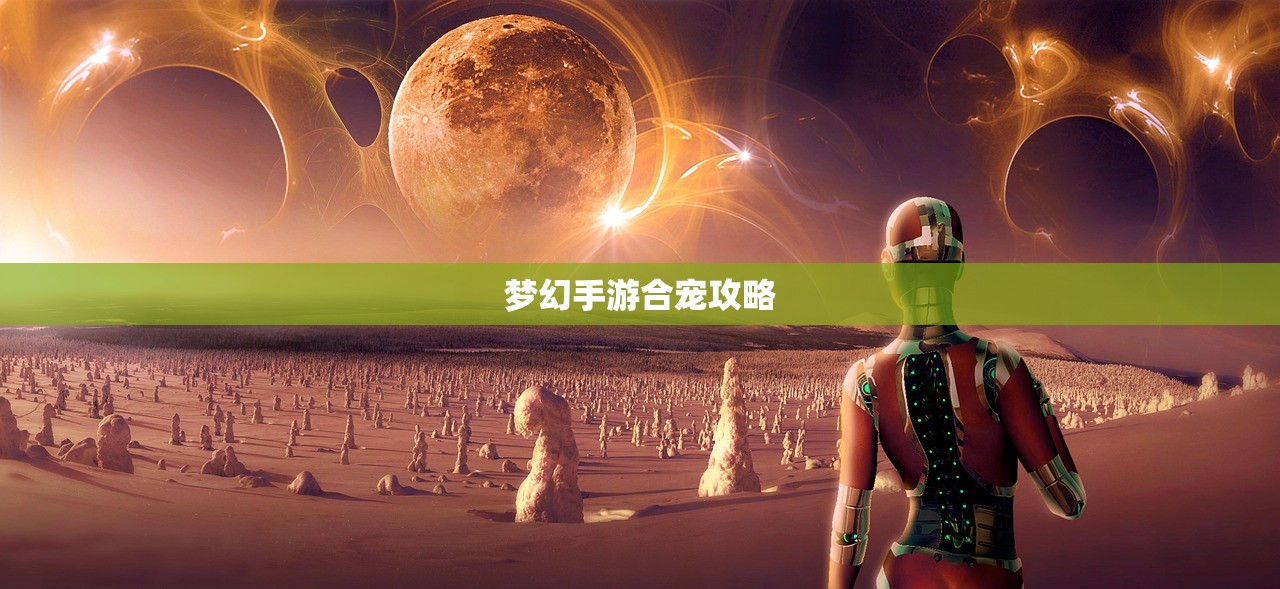 梦幻手游合宠攻略