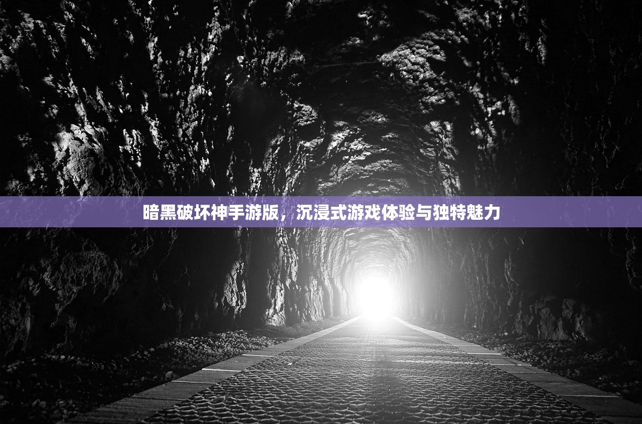 暗黑破坏神手游版，沉浸式游戏体验与独特魅力