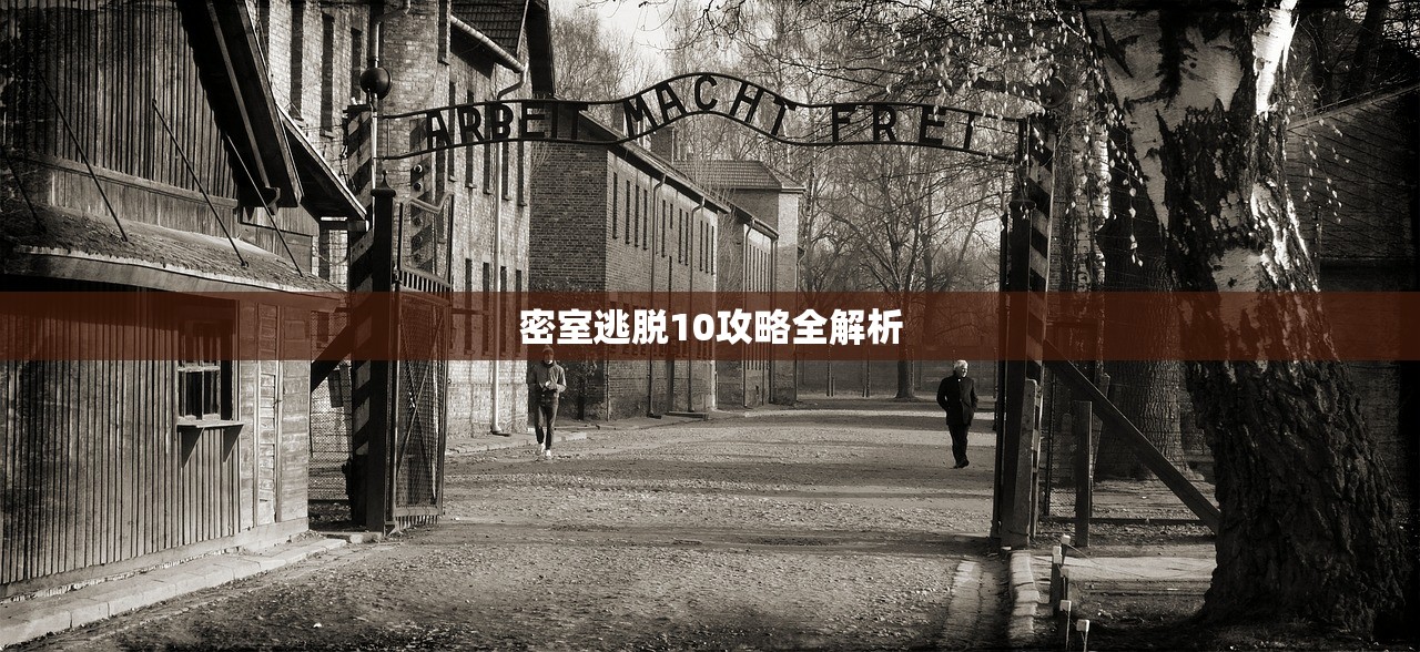 密室逃脱10攻略全解析