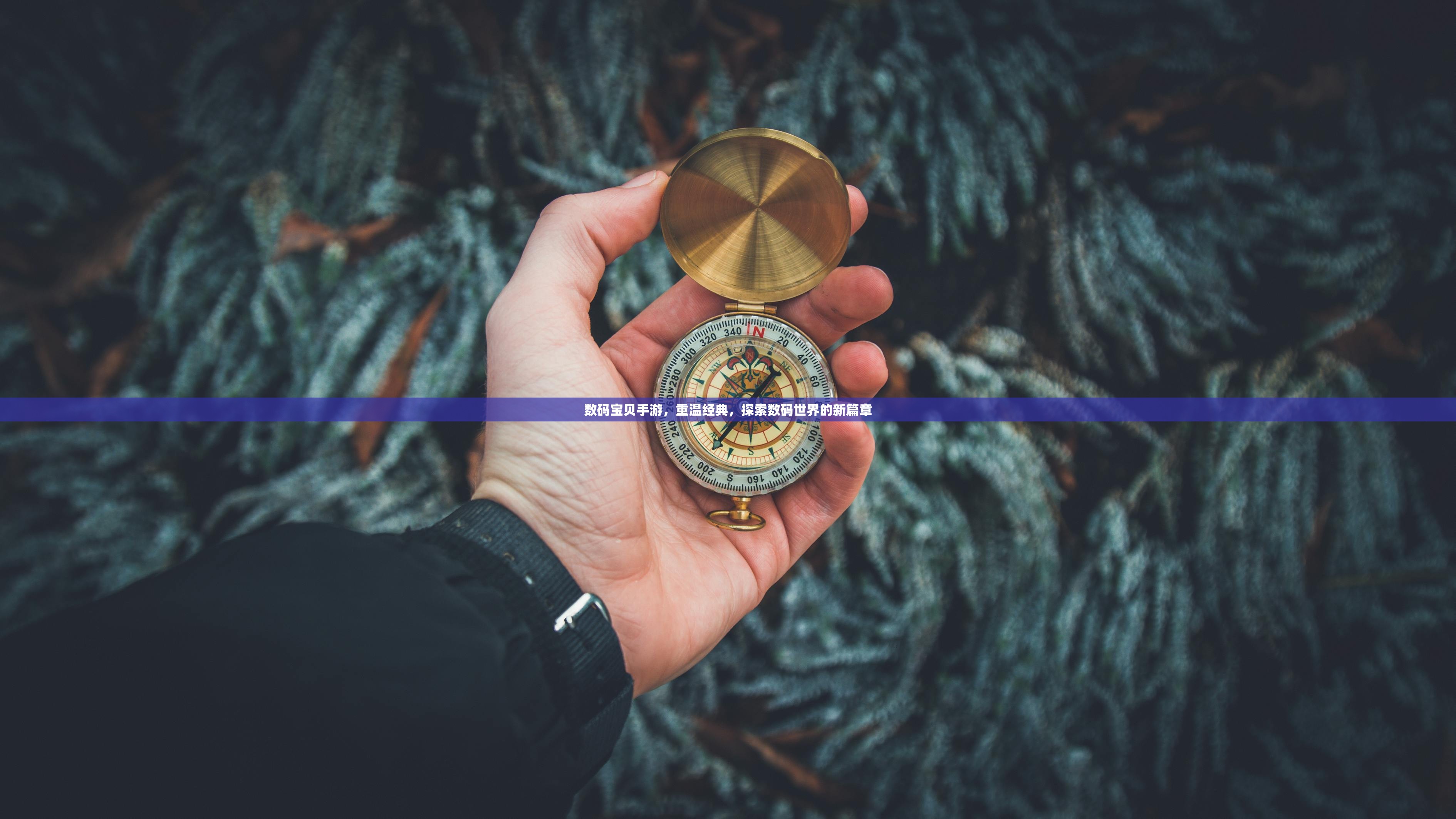 数码宝贝手游，重温经典，探索数码世界的新篇章