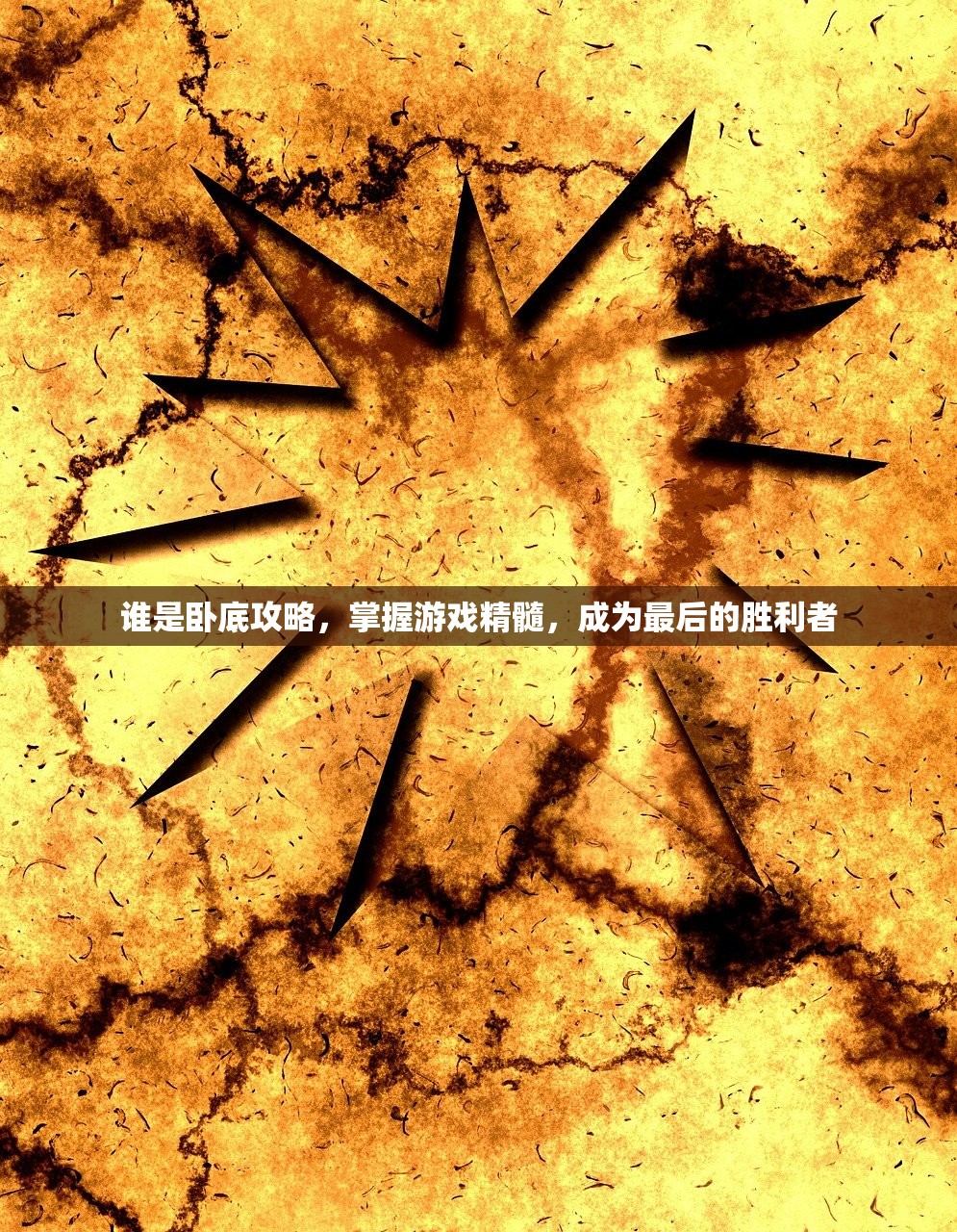 谁是卧底攻略，掌握游戏精髓，成为最后的胜利者