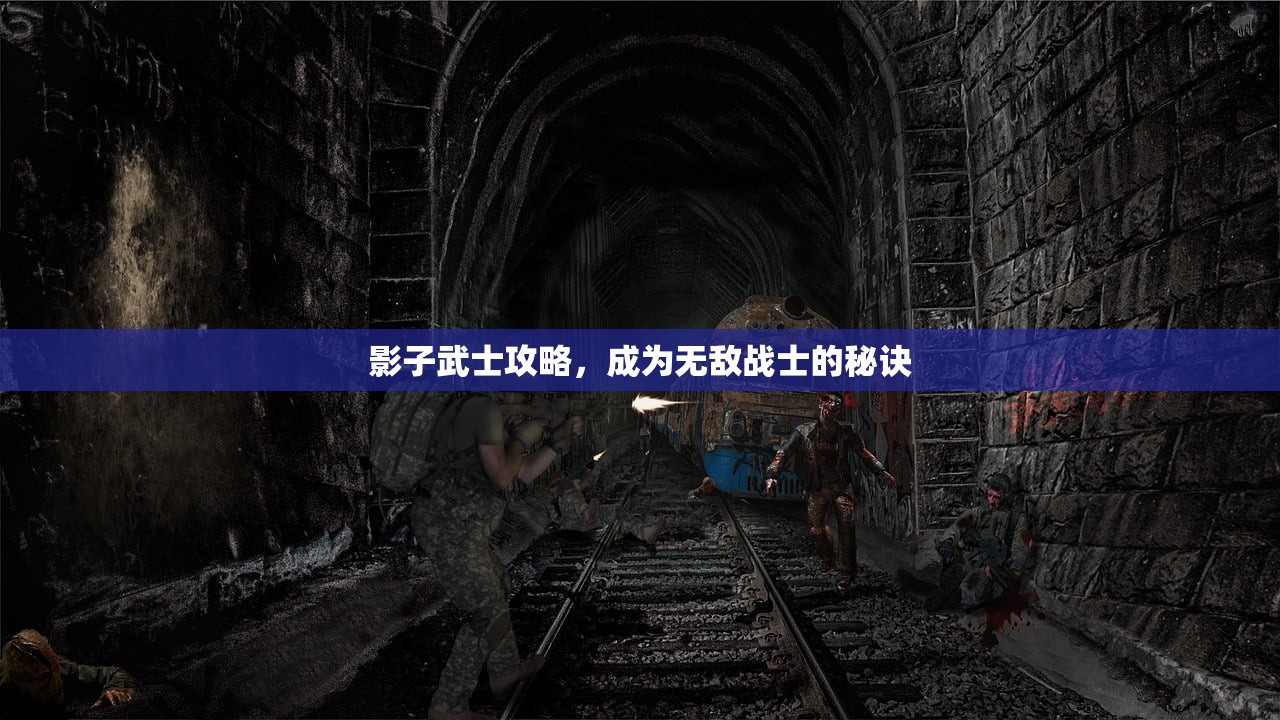影子武士攻略，成为无敌战士的秘诀