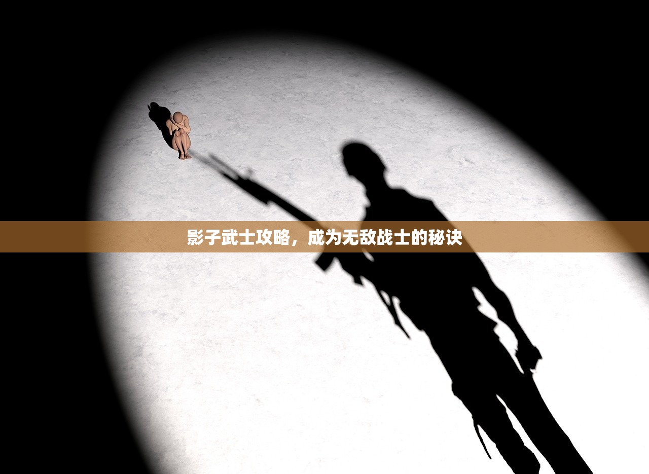 影子武士攻略，成为无敌战士的秘诀
