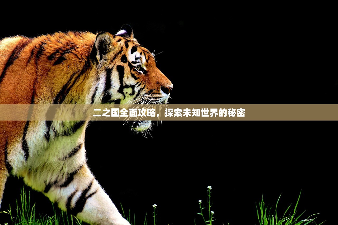 二之国全面攻略，探索未知世界的秘密