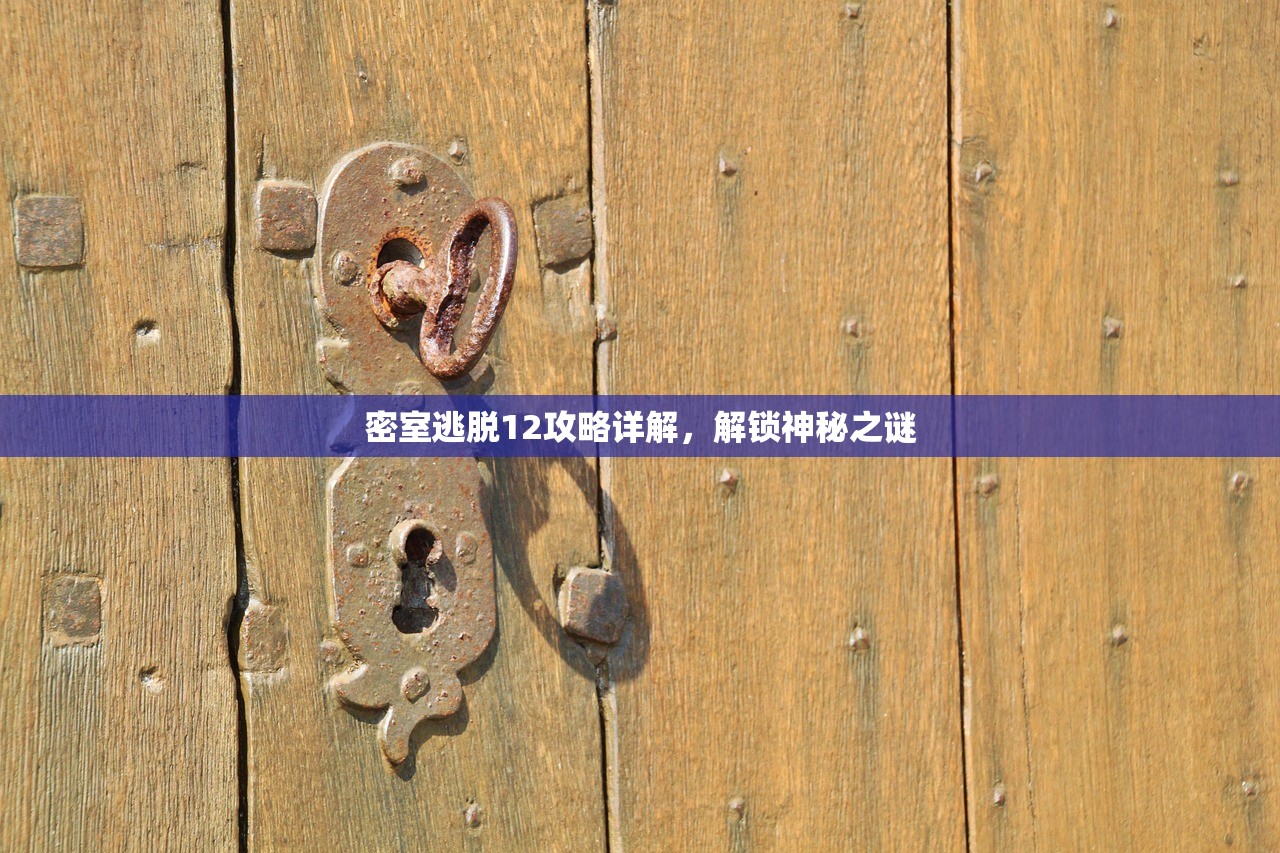 密室逃脱12攻略详解，解锁神秘之谜