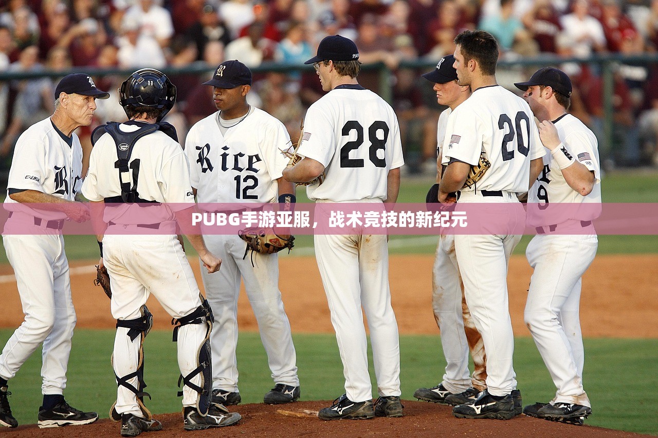 PUBG手游亚服，战术竞技的新纪元