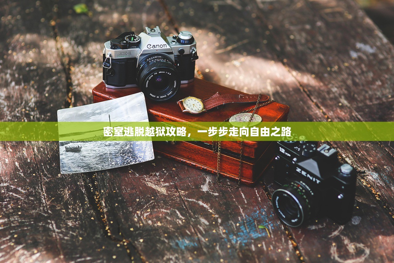 密室逃脱越狱攻略，一步步走向自由之路