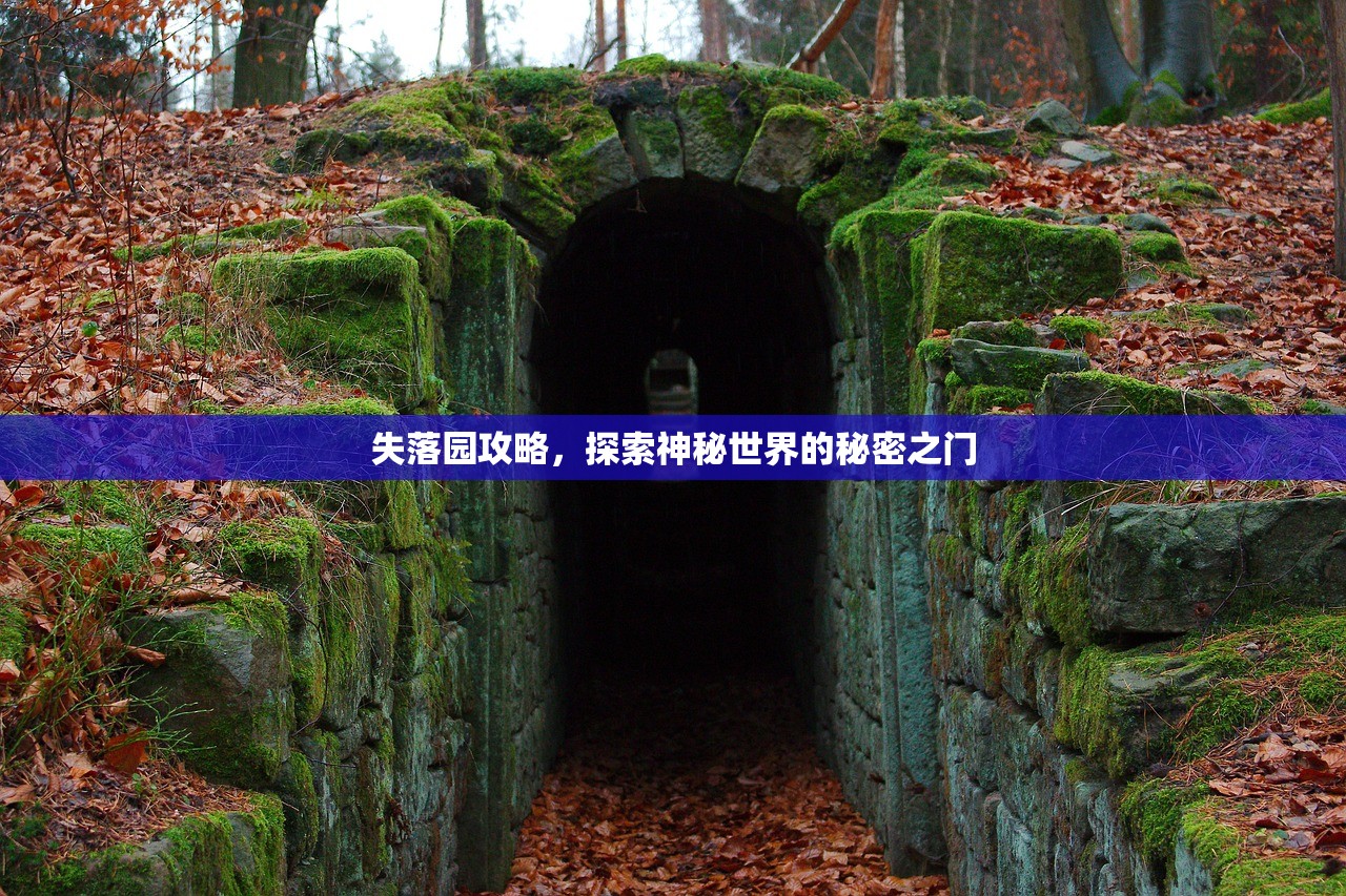 失落园攻略，探索神秘世界的秘密之门