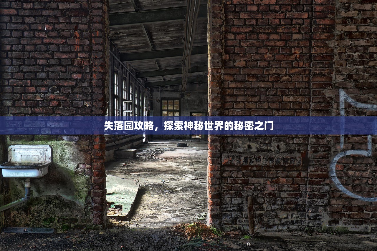 失落园攻略，探索神秘世界的秘密之门