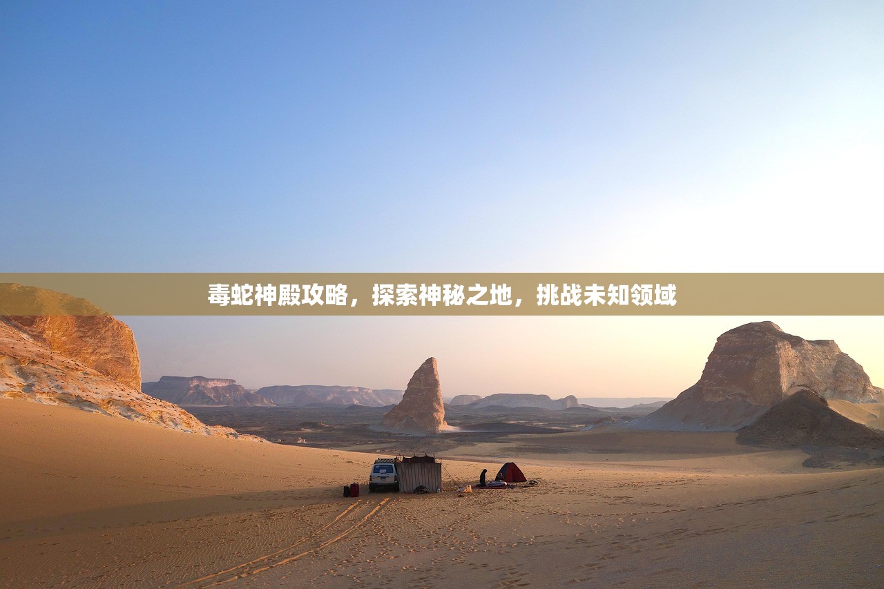 毒蛇神殿攻略，探索神秘之地，挑战未知领域
