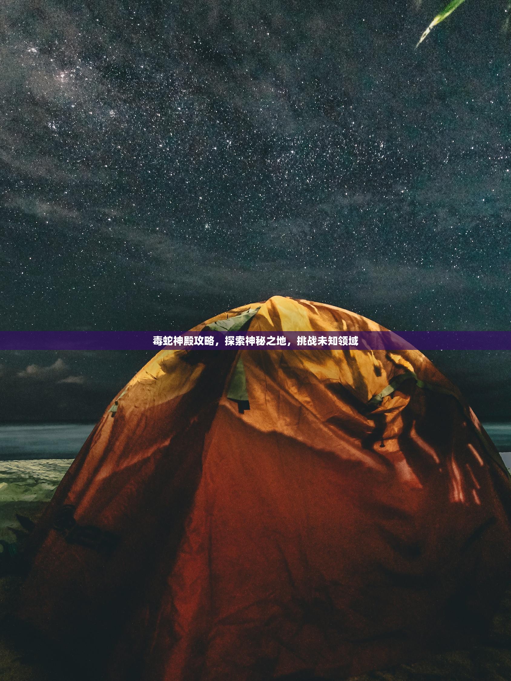 毒蛇神殿攻略，探索神秘之地，挑战未知领域