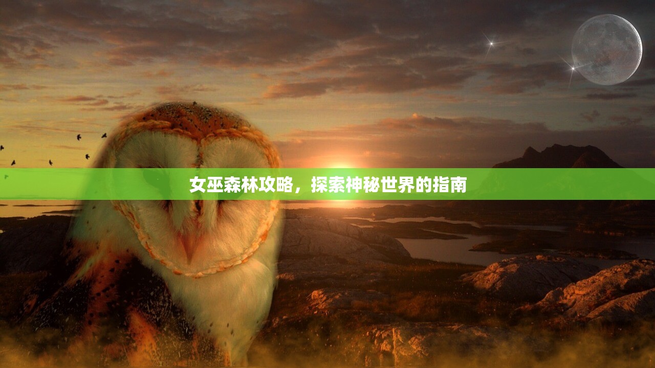 女巫森林攻略，探索神秘世界的指南